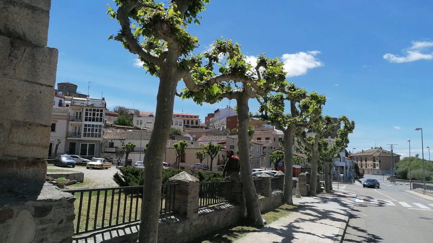 Trabajos de jardinería en la zona de la Basílica Teresiana de Alba de Tormes