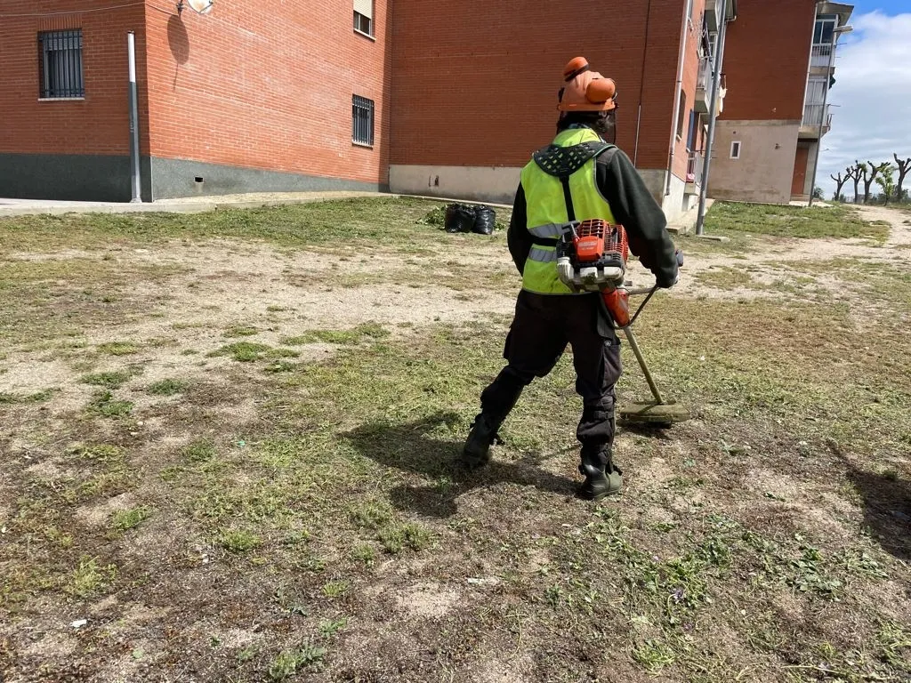 Foto 2 - Aumentan los&nbsp;trabajos de jardiner&iacute;a por parte del&nbsp;&aacute;rea de infraestructuras y mantenimiento de...