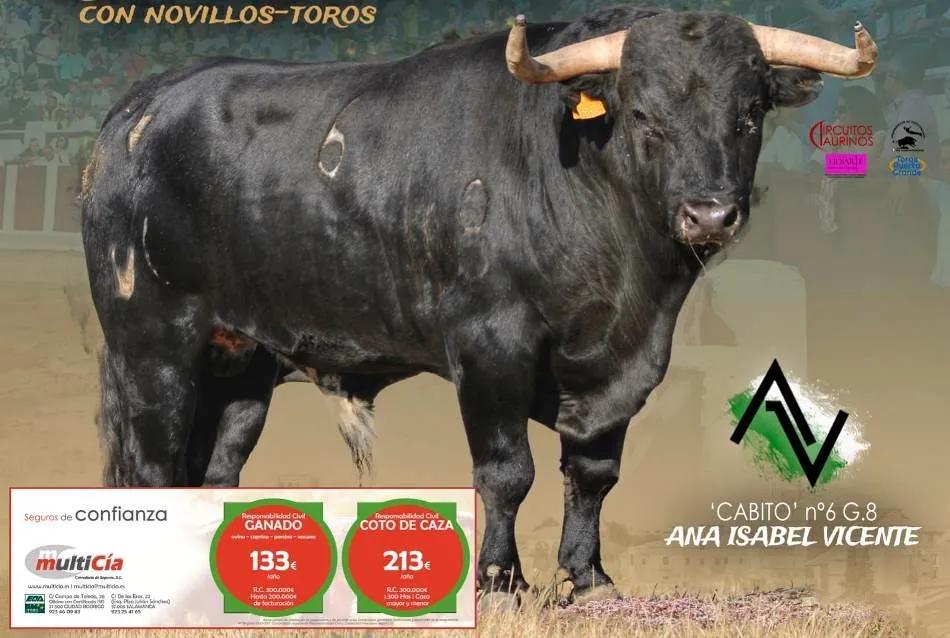 Foto 3 - Arte Charro se encarga de las pr&oacute;ximas citas con los recortes de Carrascal de Barregas y Zamora  