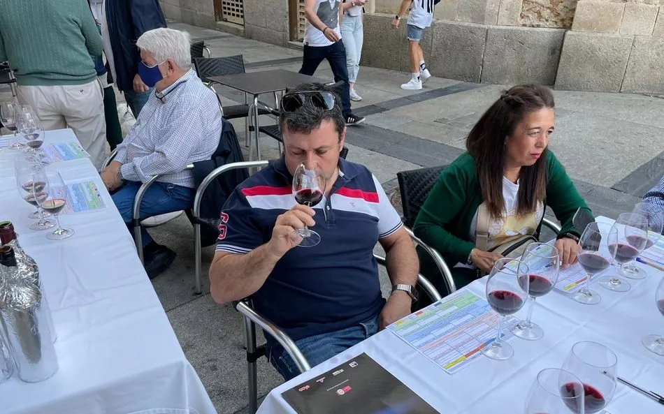 Foto 4 - Ademan crianza 2017, un Toro persistente, generoso, sedoso y redondo  