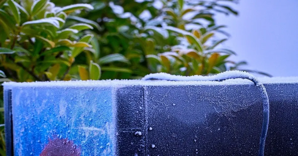  ¿Qué es un congelador industrial?