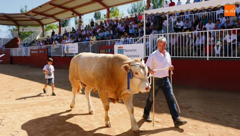 En el caso de la Feria del Sector Agropecuario, la Diputación ha procedido a hacer públicas hoy las Bases de participación