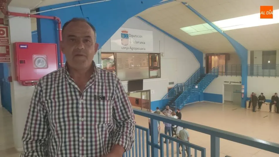 Cada vez se premia más la calidad de los terneros, es la mejor manera de poder ganar dinero  