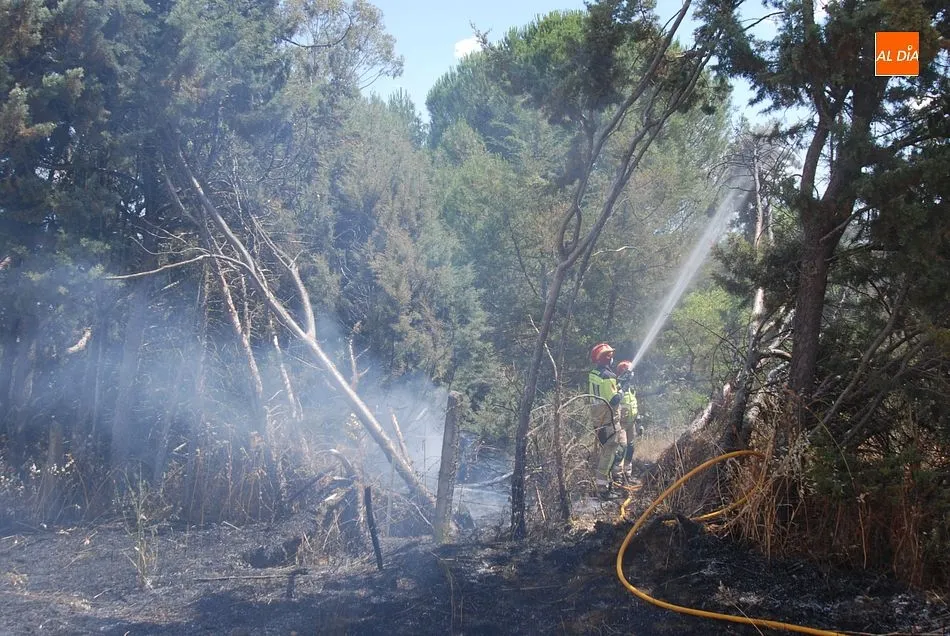 Foto 5 - Las llamas se quedan a s&oacute;lo dos metros de una vivienda en un incendio en las Huertas de Santa Cruz ...