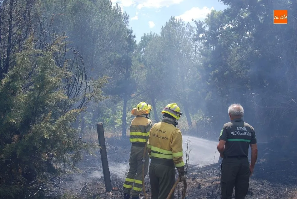 Foto 6 - Las llamas se quedan a s&oacute;lo dos metros de una vivienda en un incendio en las Huertas de Santa Cruz ...