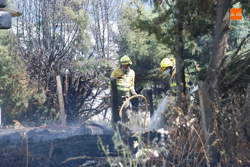 Foto 2 - Las llamas se quedan a s&oacute;lo dos metros de una vivienda en un incendio en las Huertas de Santa Cruz ...