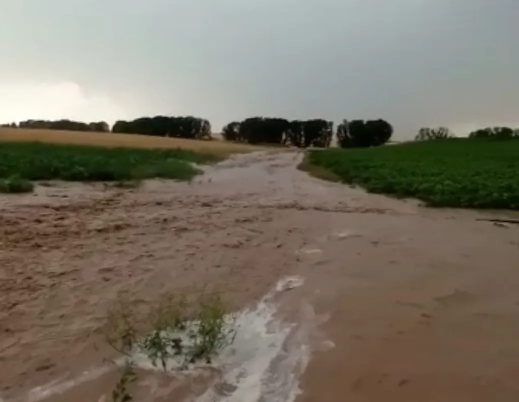 Las granizadas causan daños en cultivos de Palaciosrubios y La Armuña