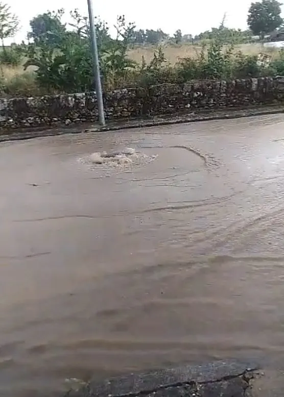 Foto 4 - Aldead&aacute;vila registra ayer jueves precipitaciones de 52 litros por metro cuadrado  