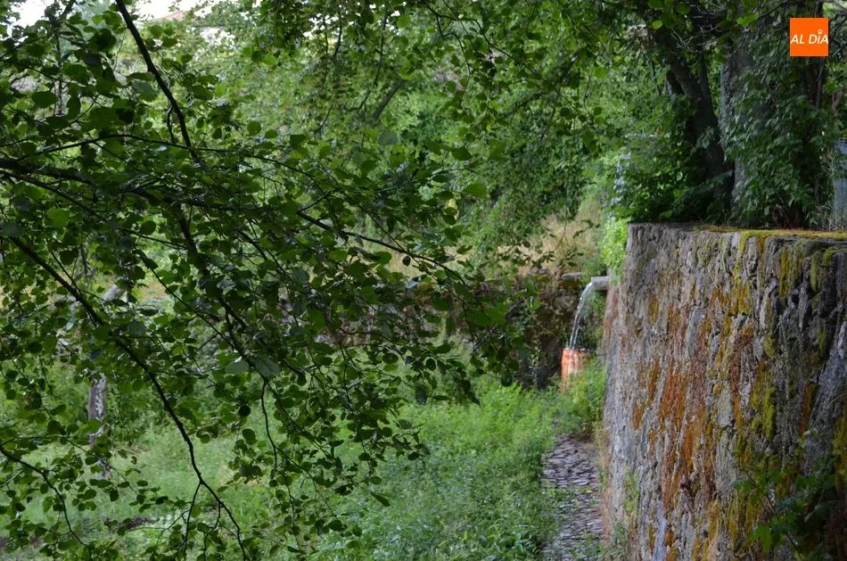 Foto 2 - El Director General de Patrimonio visita las obras de la Huerta de El Bosque