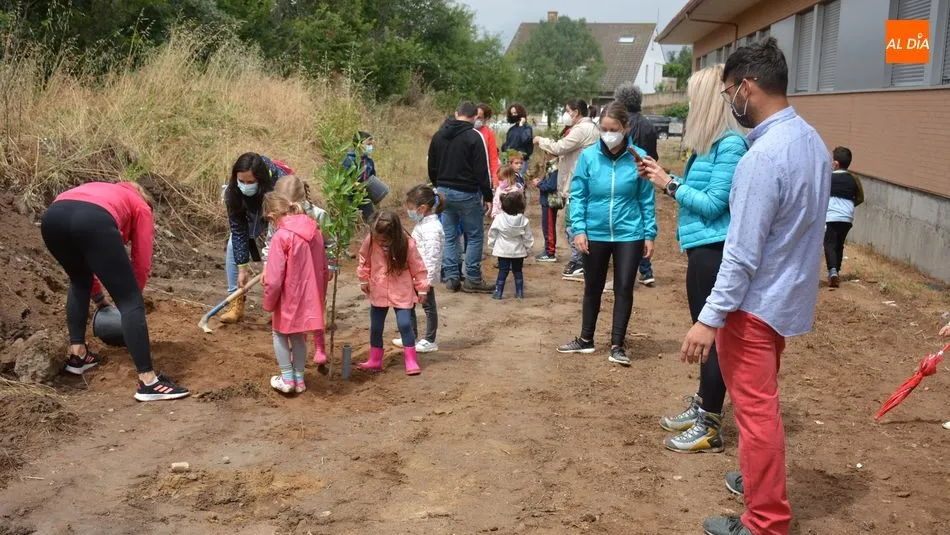 Foto 10 - Los ni&ntilde;os de Lumbrales plantan m&aacute;s de 40 &aacute;rboles en el nuevo Paseo de los Frutales