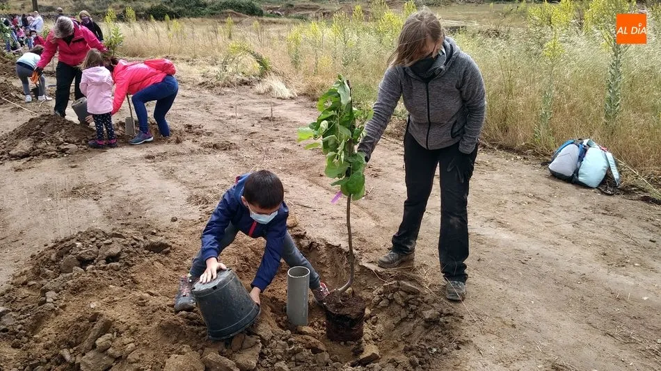 Foto 4 - Los ni&ntilde;os de Lumbrales plantan m&aacute;s de 40 &aacute;rboles en el nuevo Paseo de los Frutales