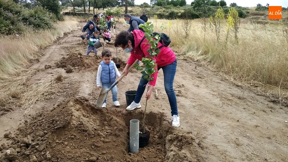 Foto 2 - Los ni&ntilde;os de Lumbrales plantan m&aacute;s de 40 &aacute;rboles en el nuevo Paseo de los Frutales