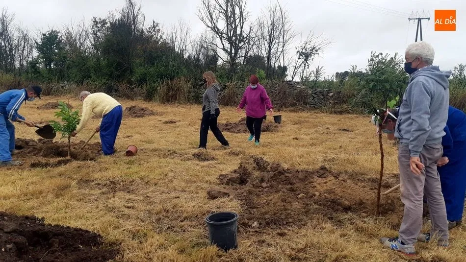 Foto 4 - Vecinos de todas las edades participan en la plantaci&oacute;n de &aacute;rboles en Ba&ntilde;ob&aacute;rez&nbsp;