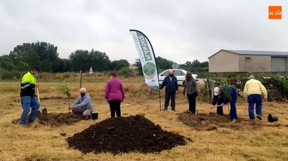 Foto 9 - Vecinos de todas las edades participan en la plantaci&oacute;n de &aacute;rboles en Ba&ntilde;ob&aacute;rez&nbsp;
