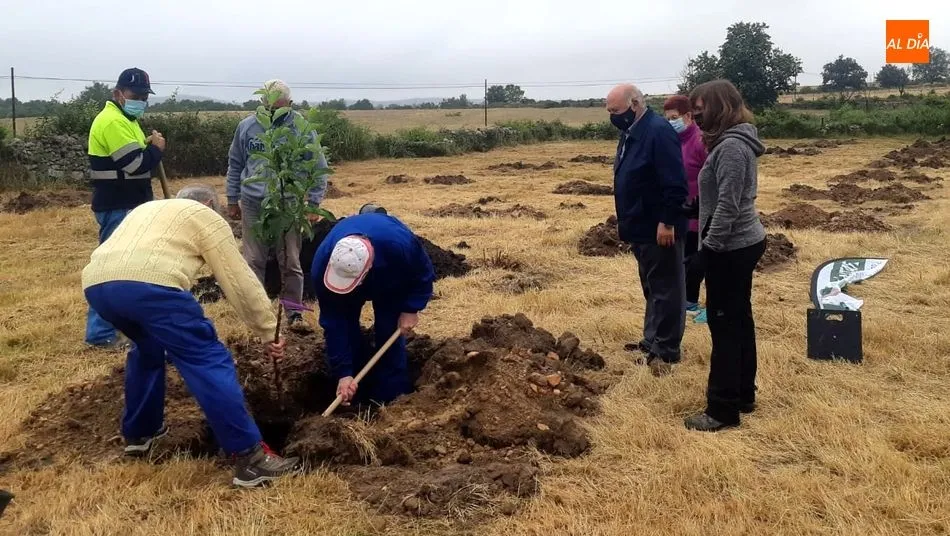 Foto 10 - Vecinos de todas las edades participan en la plantaci&oacute;n de &aacute;rboles en Ba&ntilde;ob&aacute;rez&nbsp;