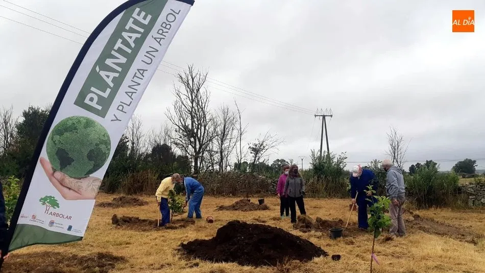 Foto 5 - Vecinos de todas las edades participan en la plantaci&oacute;n de &aacute;rboles en Ba&ntilde;ob&aacute;rez&nbsp;