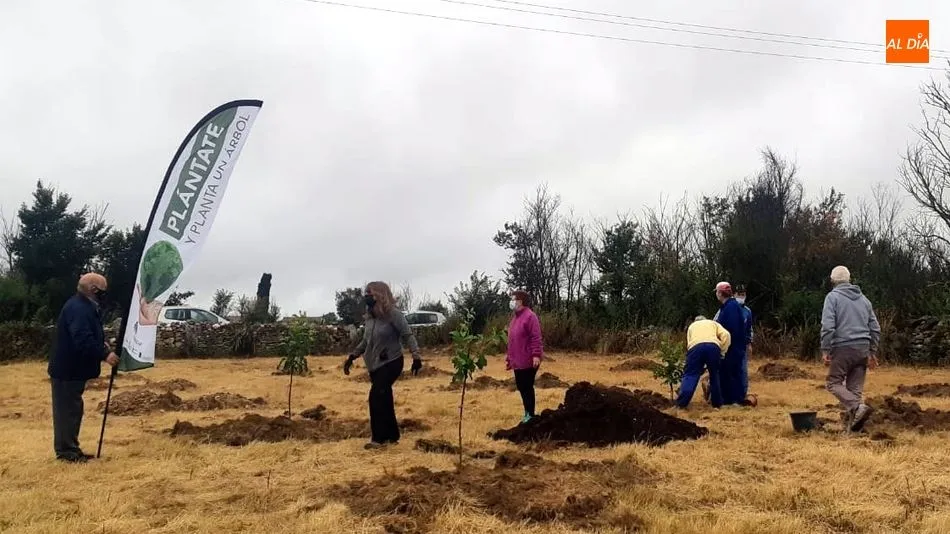 Foto 7 - Vecinos de todas las edades participan en la plantaci&oacute;n de &aacute;rboles en Ba&ntilde;ob&aacute;rez&nbsp;
