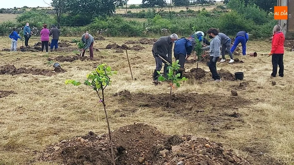 Voluntarios de todas las edades plantaron frutales en una parcela municipal