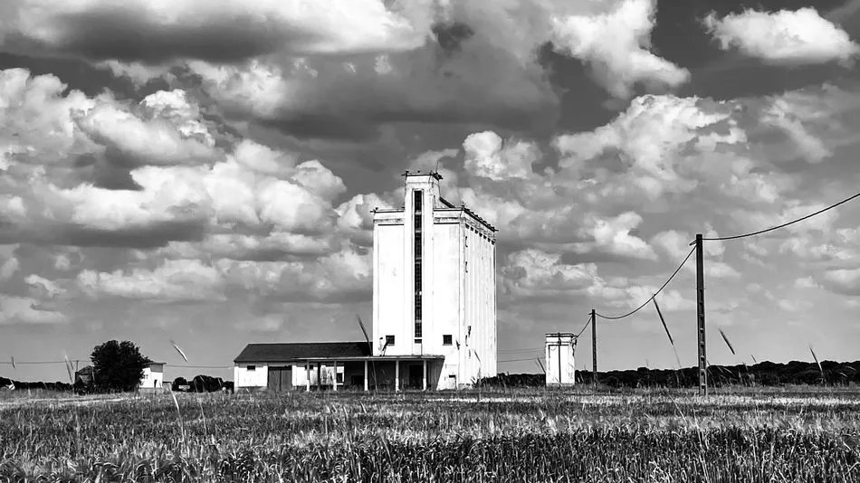 Elevación del trigo