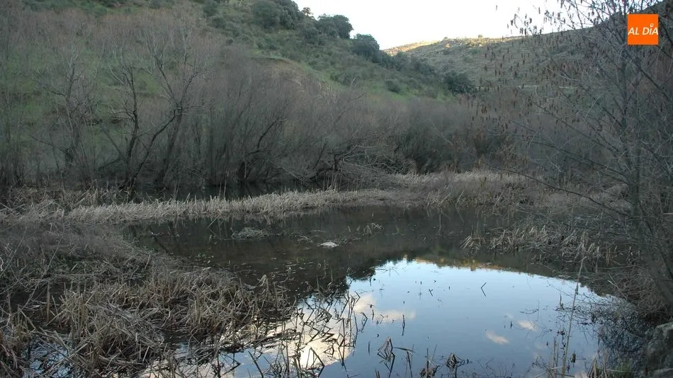 La gran sedimentación en el lecho provoca un fuerte impacto sobre la fauna piscícola / CORRAL
