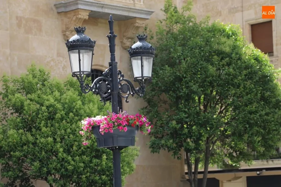 Foto 2 - Un total de 25 jardineras colgantes adornan las calles Toro y Zamora
