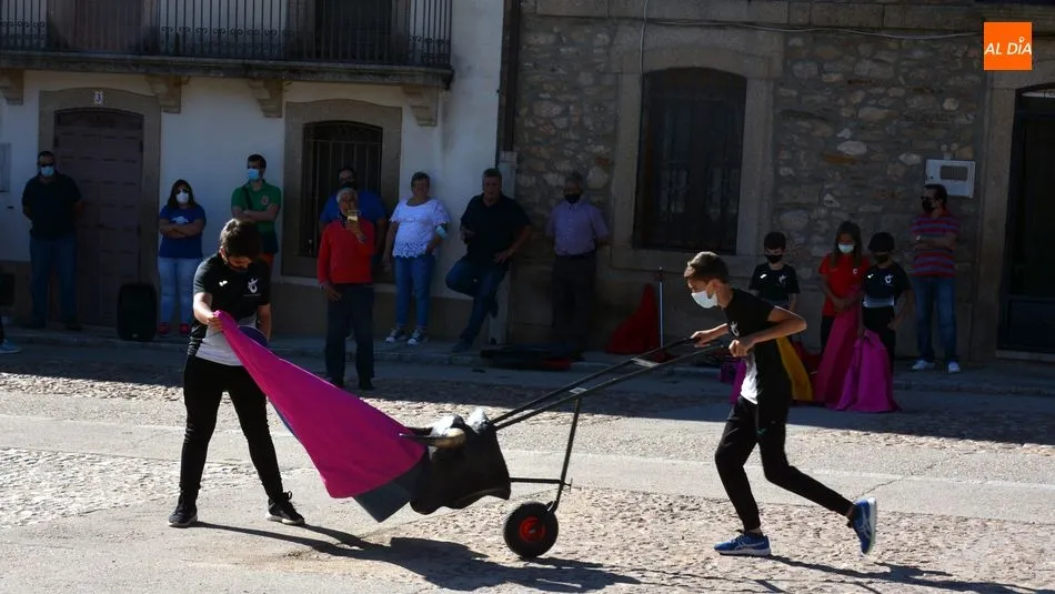 Foto 2 - Clase de toreo de sal&oacute;n en el D&iacute;a de &acute;Las Cabestras&rsquo; de Hinojosa de Duero