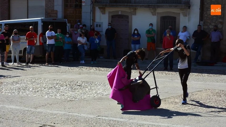 Foto 4 - Clase de toreo de sal&oacute;n en el D&iacute;a de &acute;Las Cabestras&rsquo; de Hinojosa de Duero