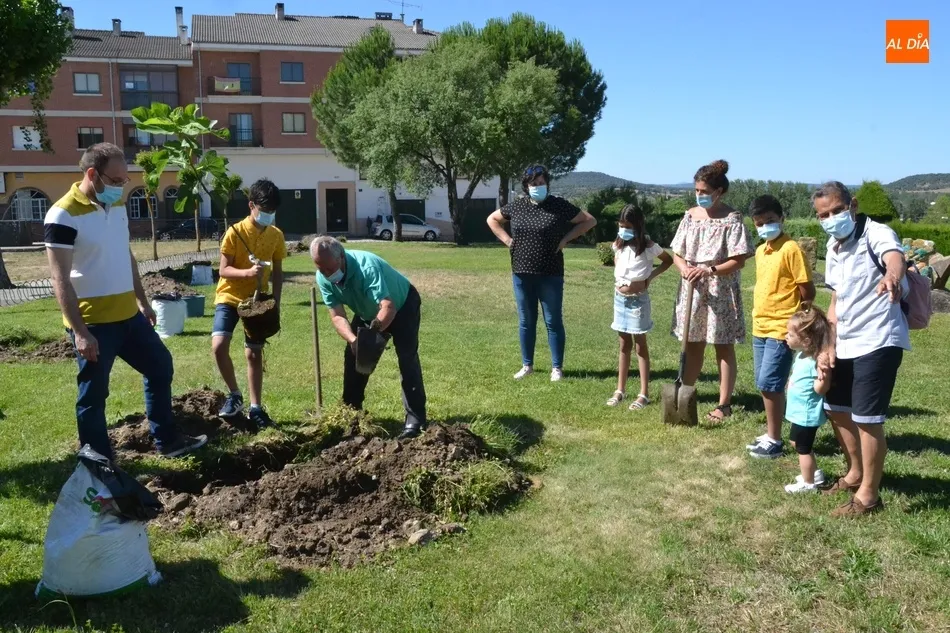 Plantados 42 frutales en tres barrios de Miróbriga en el marco del proyecto Arbolar  