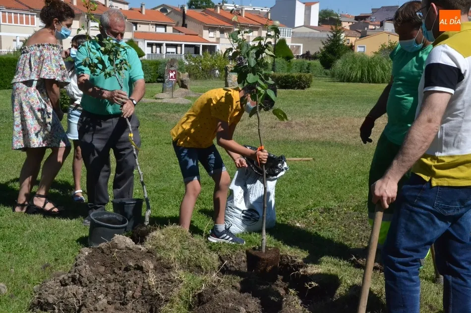 Foto 11 - Plantados 42 frutales en tres barrios de Mir&oacute;briga en el marco del proyecto Arbolar  