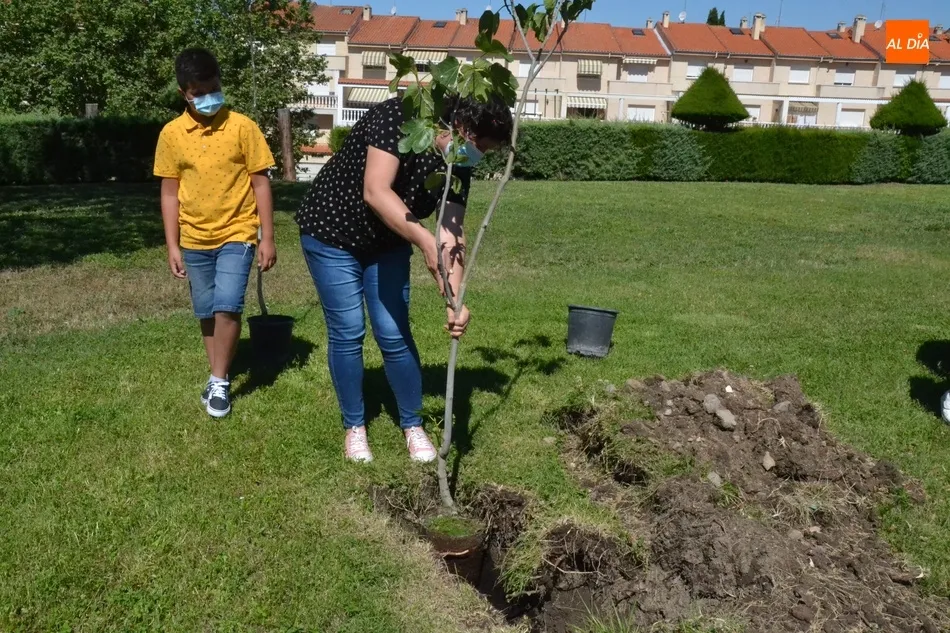 Foto 9 - Plantados 42 frutales en tres barrios de Mir&oacute;briga en el marco del proyecto Arbolar  
