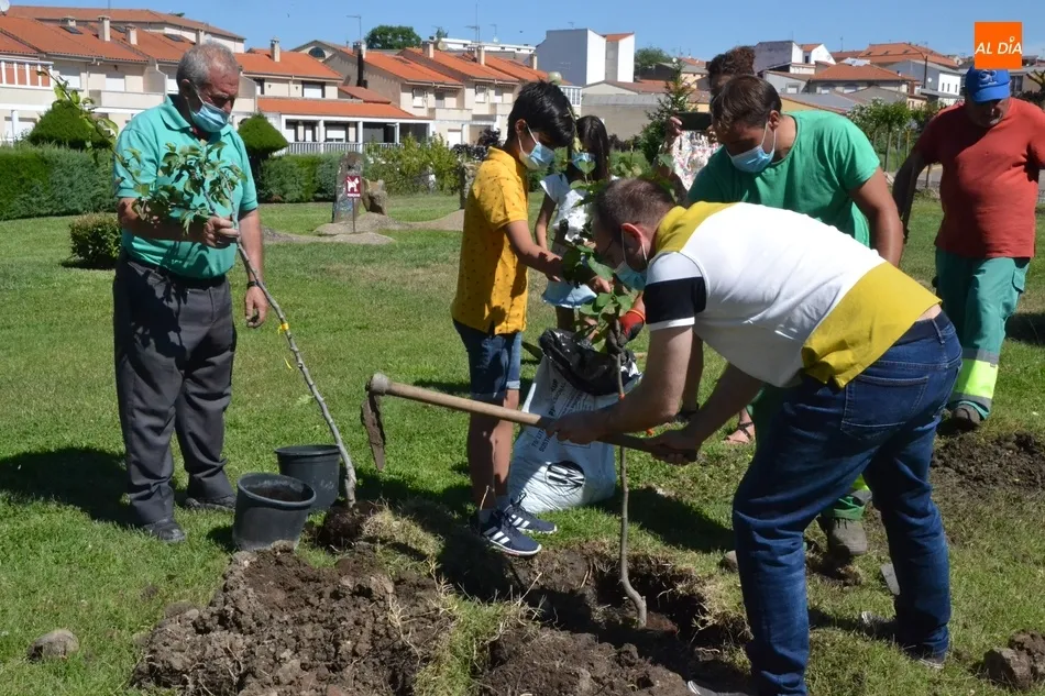Foto 10 - Plantados 42 frutales en tres barrios de Mir&oacute;briga en el marco del proyecto Arbolar  