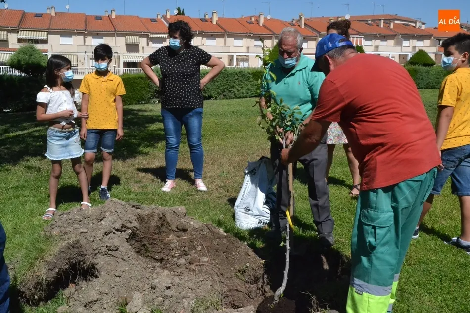 Foto 7 - Plantados 42 frutales en tres barrios de Mir&oacute;briga en el marco del proyecto Arbolar  