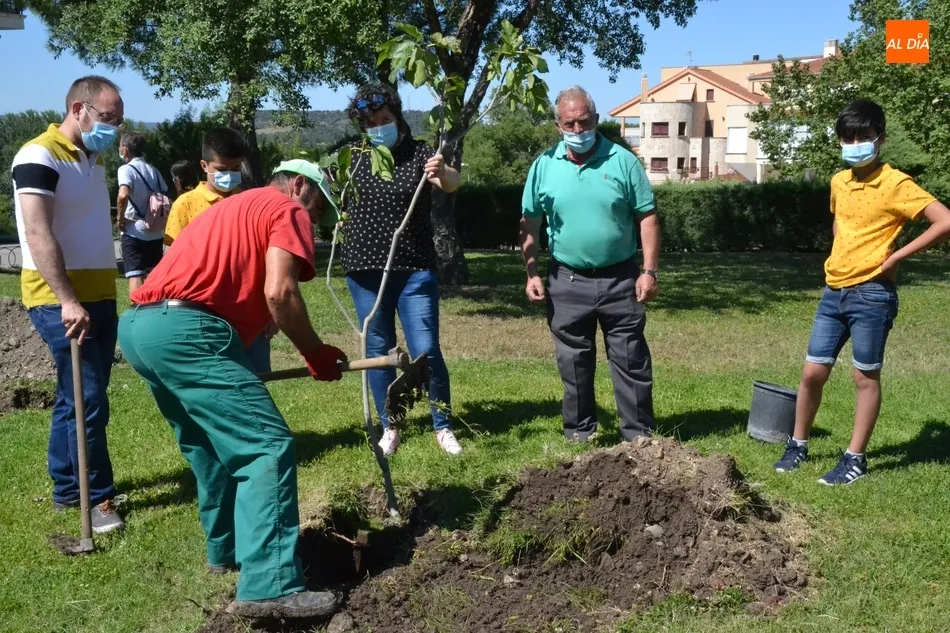 Foto 8 - Plantados 42 frutales en tres barrios de Mir&oacute;briga en el marco del proyecto Arbolar  