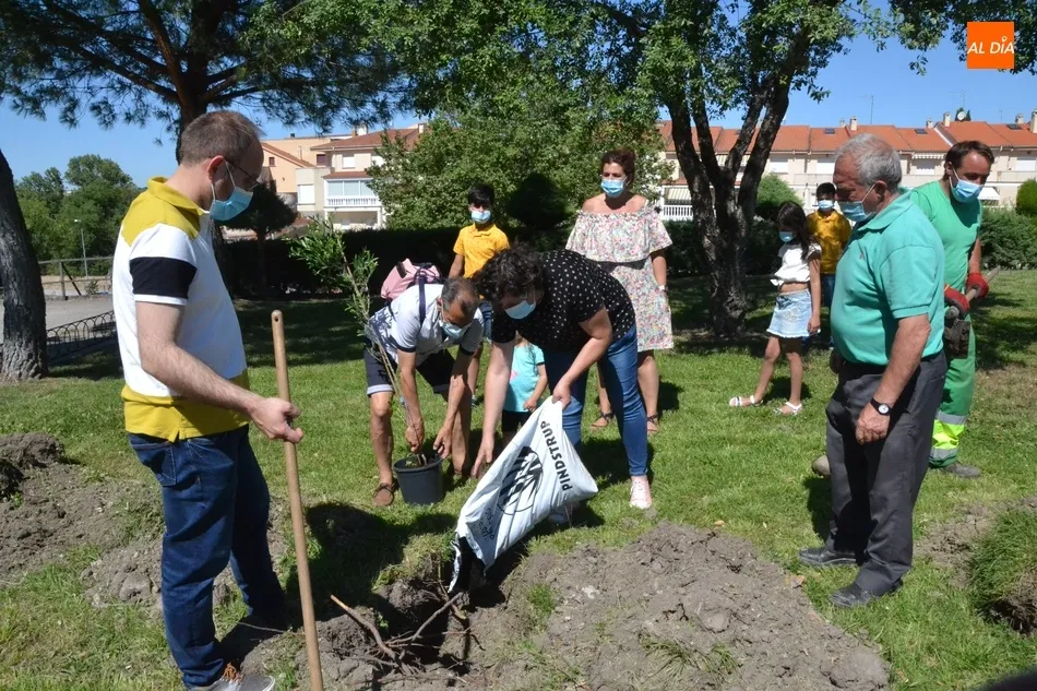 Foto 6 - Plantados 42 frutales en tres barrios de Mir&oacute;briga en el marco del proyecto Arbolar  