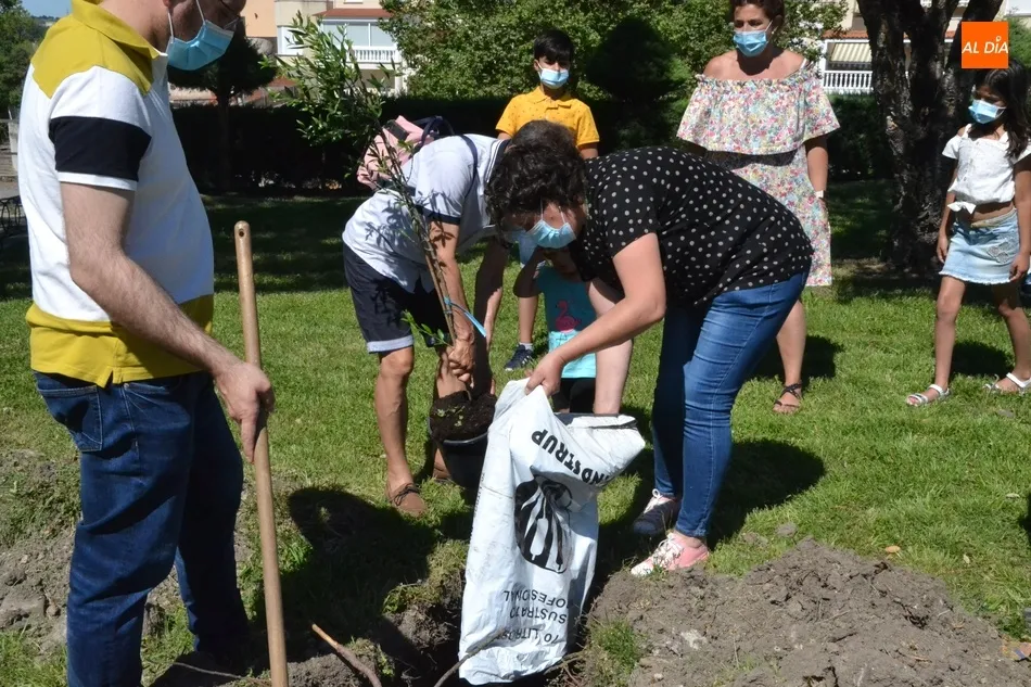 Foto 5 - Plantados 42 frutales en tres barrios de Mir&oacute;briga en el marco del proyecto Arbolar  
