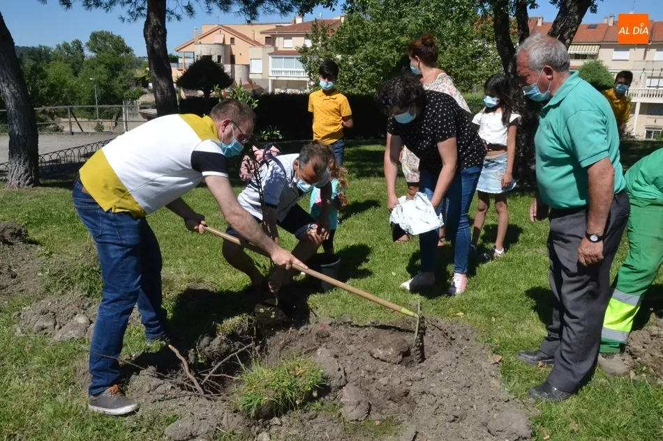Foto 4 - Plantados 42 frutales en tres barrios de Mir&oacute;briga en el marco del proyecto Arbolar  