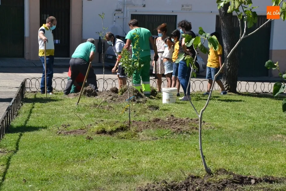 Foto 2 - Plantados 42 frutales en tres barrios de Mir&oacute;briga en el marco del proyecto Arbolar  
