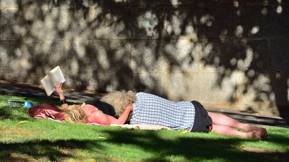 El placer de leer… en compañía