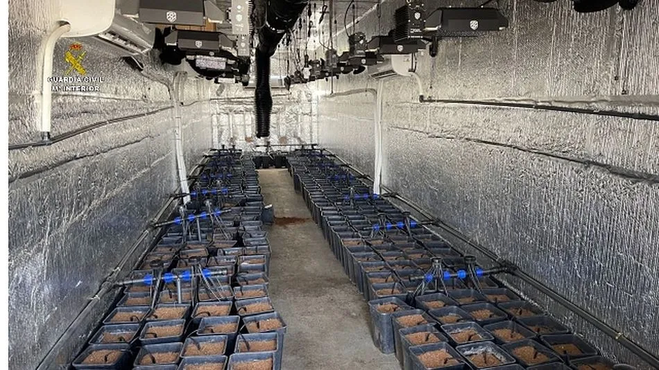 Foto 3 - Detenidas seis personas por cultivar marihuana en falsos remolques frigor&iacute;ficos en pueblos de...