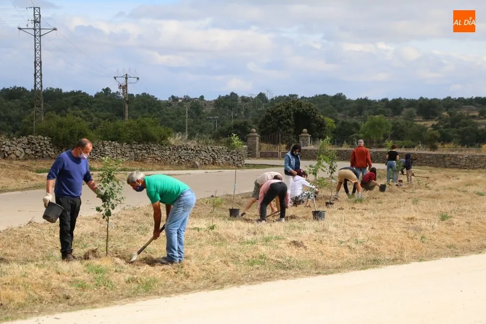 Foto 11 - Medio centenar de voluntarios se suman al proyecto &lsquo;Arbolar&rsquo; en Peralejos de Abajo  