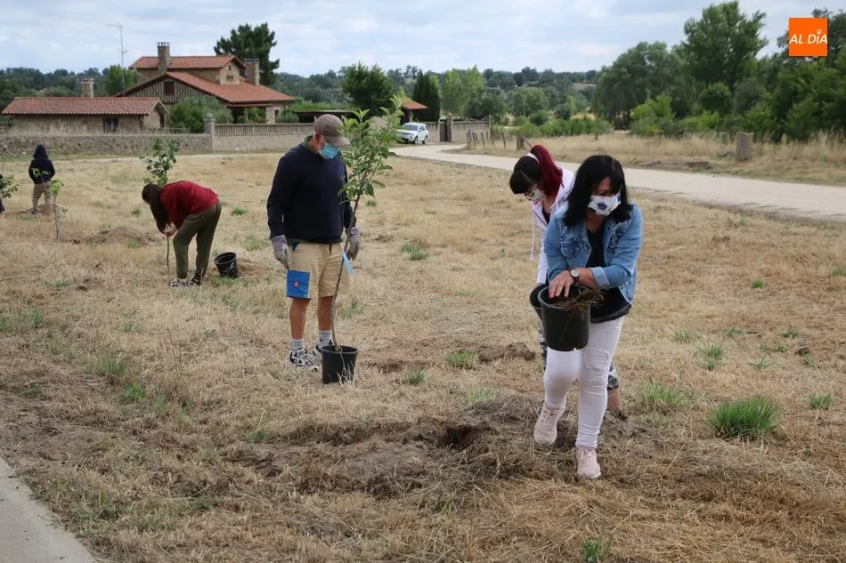 Foto 9 - Medio centenar de voluntarios se suman al proyecto &lsquo;Arbolar&rsquo; en Peralejos de Abajo  