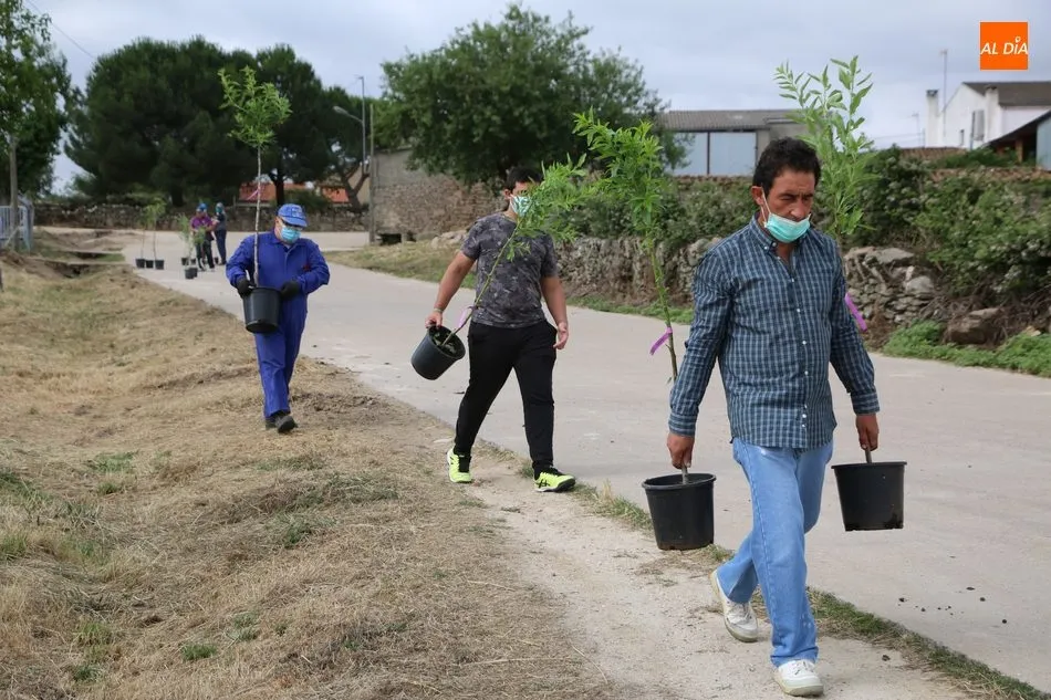Foto 8 - Medio centenar de voluntarios se suman al proyecto &lsquo;Arbolar&rsquo; en Peralejos de Abajo  