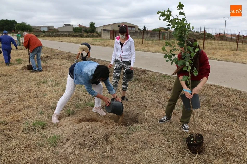 Foto 7 - Medio centenar de voluntarios se suman al proyecto &lsquo;Arbolar&rsquo; en Peralejos de Abajo  