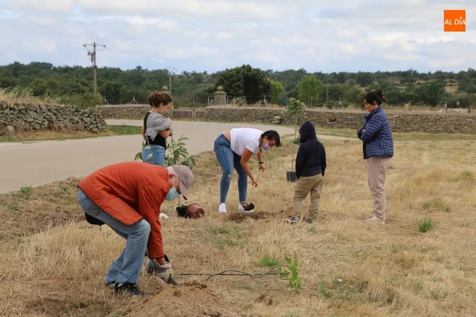 Foto 6 - Medio centenar de voluntarios se suman al proyecto &lsquo;Arbolar&rsquo; en Peralejos de Abajo  