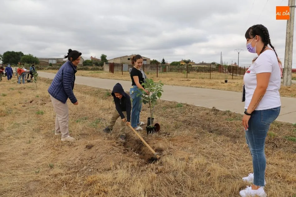 Foto 5 - Medio centenar de voluntarios se suman al proyecto &lsquo;Arbolar&rsquo; en Peralejos de Abajo  