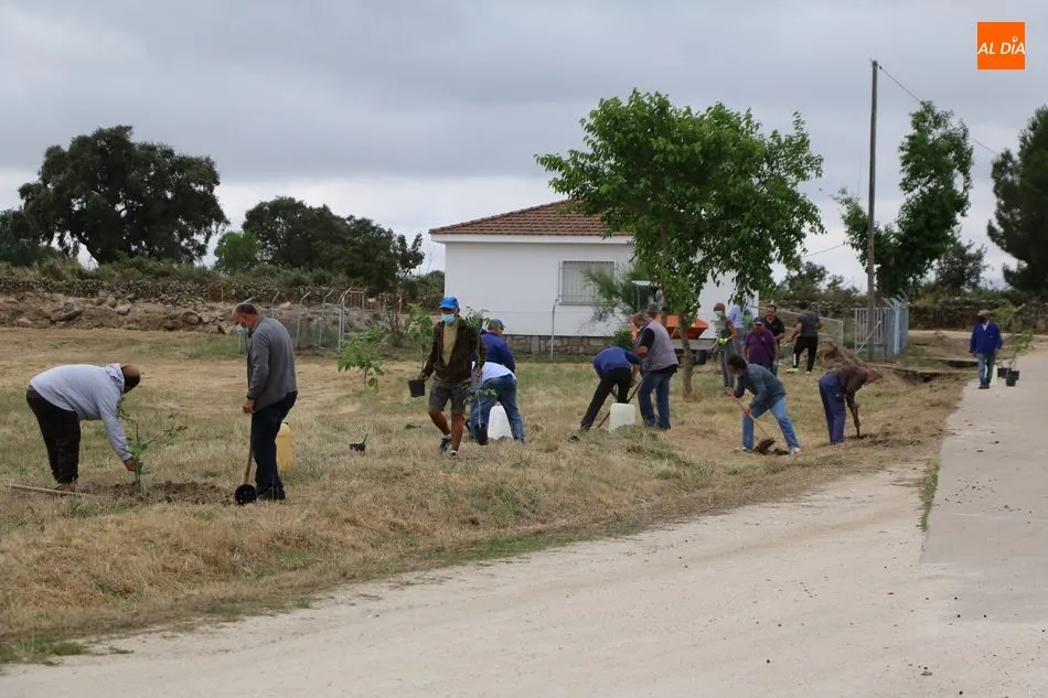 Foto 3 - Medio centenar de voluntarios se suman al proyecto &lsquo;Arbolar&rsquo; en Peralejos de Abajo  