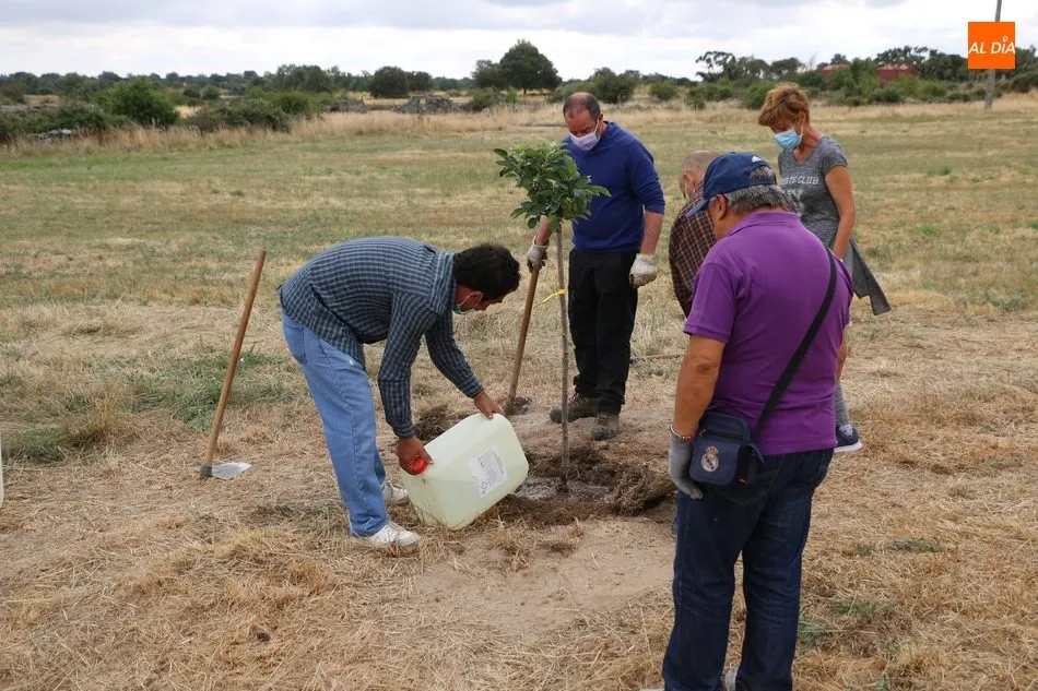 Foto 2 - Medio centenar de voluntarios se suman al proyecto &lsquo;Arbolar&rsquo; en Peralejos de Abajo  