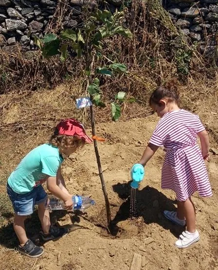 Foto 8 - Ni&ntilde;os, padres y abuelos plantan medio centenar de frutales en Fuenteguinaldo  