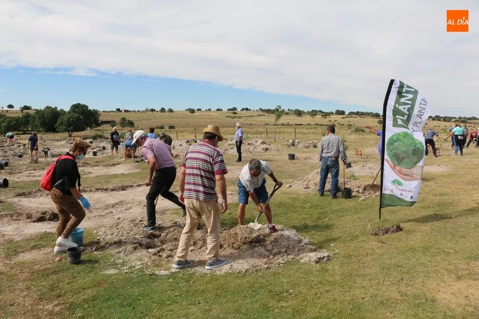 Foto 11 - Cip&eacute;rez se suma al proyecto Arbolar con una treintena de voluntarios para plantar 42 frutales  