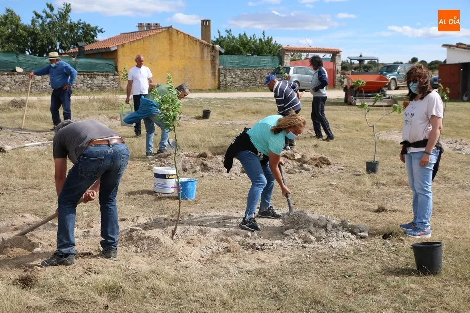 Foto 10 - Cip&eacute;rez se suma al proyecto Arbolar con una treintena de voluntarios para plantar 42 frutales  